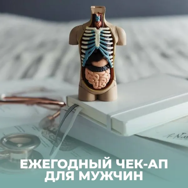 Ежегодный ЧЕК-АП для мужчин: забота о репродуктивном здоровье