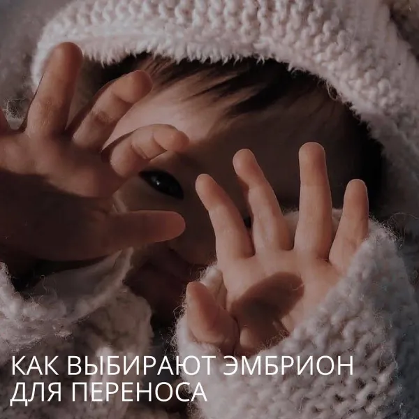 Как выбирают эмбрион для переноса при ЭКО?